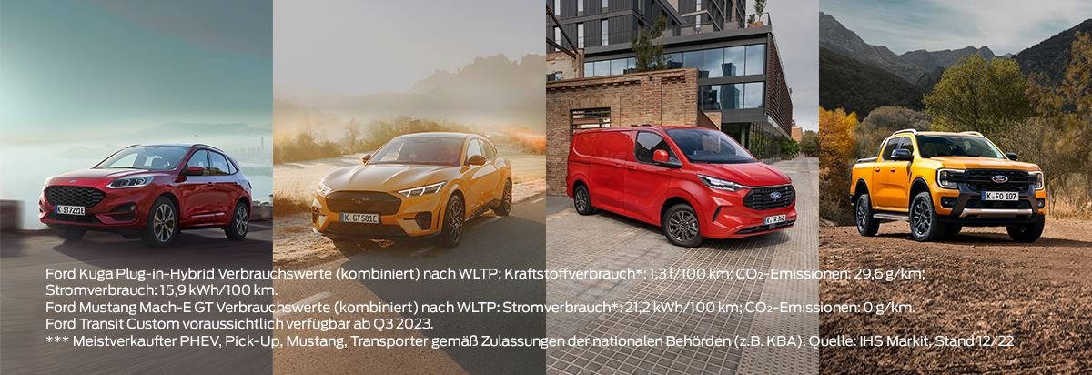 Plug in Hybrid Fahrzeuge 